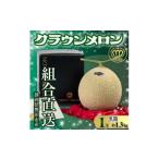 ふるさと納税 メロン 静岡県 磐田市 組合直送 黒箱 静岡が誇る温室高級マスクメロン「クラウンメロン」1玉(約1.3kg)9月〜2月 1660348