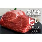 牛肉 ヒレ 訳あり 飛騨牛 ヒレブロック500g