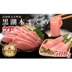 ふるさと納税 マグロ 高知県 大月町 マグロ 訳あり まぐろ 本マグロ 刺身 中トロ 500g 養殖 本まぐろ さしみ 刺し身 ネギトロ ねぎとろ 漬け丼 海鮮丼 まぐろ…