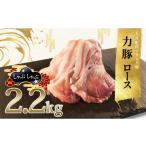 ふるさと納税 豚肉 しゃぶしゃぶ 高知県 大月町  高知県 大月町産ブランド豚 力豚ロース　しゃぶしゃぶ2.2kg