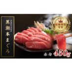 ふるさと納税 マグロ 高知県 大月町  12／23までの寄附で年内発送 マグロ まぐろ 本マグロ 刺身 赤身 450g 養殖 本まぐろ さしみ 刺し身 ネギトロ ねぎとろ 漬…