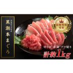 マグロ 訳あり 不定貫 養殖本マグロ 中トロ