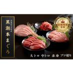 マグロ 訳あり 不定貫 養殖本マグロ 大トロ