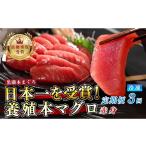 マグロ 訳あり 不定貫 定期便 3回 養殖本マグロ