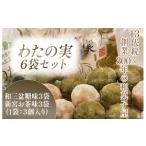 焼菓子 チョコレート わたの実 6袋セット