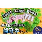 魚貝類 串セット タコ串 アナゴ串 アンコウ串