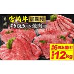 牛肉 焼肉 バーベキュー 6回連続お届け 宮崎牛赤身霜降り食…