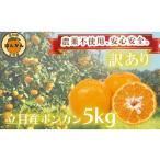ふるさと納税 みかん・柑橘類 高知県 須崎市  早期予約開始 ポンカン 訳あり 5kg 2026年 1月下旬より順次発送 収穫分 無農薬 ブランド サイズ混合 家庭用 立目…