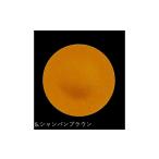 陶磁器 漆器 ガラス フラットプレート D 乱糸