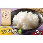 ふるさと納税 米 つや