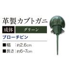 小物 レザー 革製 カブトガニ ブローチピン