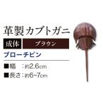 小物 レザー 革製 カブトガニ ブローチピン