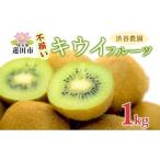 ふるさと納税 果物類 埼玉県 蓮田市 渋谷農園 キウイフルーツ (グリーン) 不揃い 1kg以上 訳あり キウイ グリーン グリーンキウイ フルーツ 栄養 ビタミンC 食…