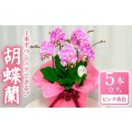 花 飾るだけ シェアオーキッド 胡蝶蘭 取り分け