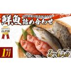 旬の鮮魚等 旬の朝獲れ鮮魚詰め合わせ 着日指定不可
