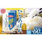 ふるさと納税 米 ひと