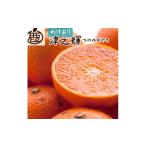 ふるさと納税 果物類 みかん 和歌山県 和歌山市 家庭用 津之輝 10kg+250g（傷み補償分）［訳あり］［つのかがやき］［せとかに似た柑橘］ ［IKE273］