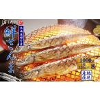 魚貝類 さんま G-50011 根室産 鮮さんま8尾入 計1kg