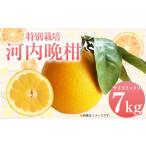 ふるさと納税 みかん�