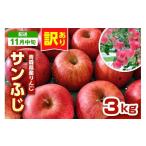 ショッピングふるさと納税 訳あり 傷 ふるさと納税 りんご 青森県 五所川原市  2025年11月中旬発送 りんご　青森 サンふじ 3kg 程度 《 訳あり 》 農家直送 サンフジ 青森県五所川原市 傷 キズ ワ…