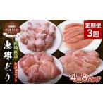 鶏肉 ムネ 定期便 3回 恵那どり お試し4種8パックセット