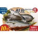 旬の鮮魚等 旬の朝獲れ鮮魚詰め合わせ プレミアム