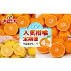 果物類 みかん 訳あり 柑橘 4回定期便 マル南フルーツ