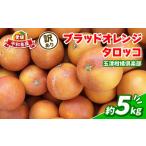 ふるさと納税 みかん・柑橘類 オレンジ 愛媛県 宇和島市 訳あり ブラッドオレンジ タロッコ 約5kg 玉津柑橘倶楽部 先行予約 サイズ 不揃い オレンジ 果実 果物…