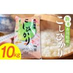 米 コシヒカリ 令和8年産 産こしひかり 10kg