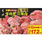 とにかくお肉大好き 宮崎牛と 産豚定期便M
