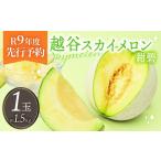 メロン メロン青肉 越谷スカイメロン 紺碧1玉