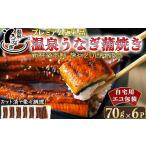 ふるさと納税 うなぎ 大分県 杵築市 完全無投薬養殖 大分水産の温泉うなぎ蒲焼（カット）70g×6 自宅用 エコ包装 国産うなぎ 人気 国産 蒲焼 蒲焼き かば焼き …