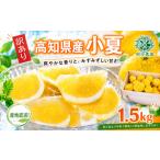 みかん 柑橘類 令和9年産 小夏 約 1.5kg