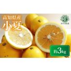 みかん 柑橘類 令和9年産 小夏 約 3kg