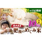 無洗米 ブレンド米 肥後のめぐみ米 10kg