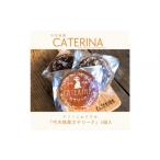 焼菓子 チョコレート マドレーヌ 弓木銘菓カテリーナ5個入