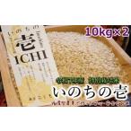 ふるさと納税 玄米 熊