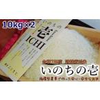 ふるさと納税 米 熊本