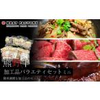 惣菜 レトルト 冷凍 熊野牛 加工品バラエティセットミニ