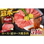 牛肉 ロース 飛騨牛 霜降りロース カタロース焼肉 540g