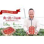 完熟いちご食べ比べ3品種 48粒または60粒