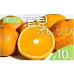ふるさと納税 果物類 みかん 和歌山県 すさみ町  先行予約 訳あり 森本農園の手選別 清見オレンジ 約10kg 和歌山県産 サイズ混合 2026年2月上旬〜5月中旬頃順…
