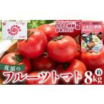 野菜類 トマト 2027年出荷分 夜須のフルーツトマト 8kg
