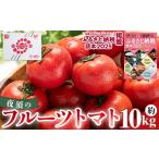 野菜類 トマト 2027年出荷分 夜須のフルーツトマト 10kg