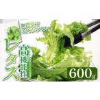 野菜類 高機能性 レタス 無農薬 600g