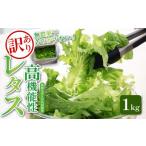 野菜類 訳あり 高機能性 レタス 無農薬 1kg