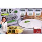 菓子 ヨーグルト 球磨の恵み 砂糖不使用 3kg