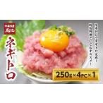 マグロ 市場食堂 花いち ネギトロ 1kg