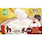 くまもとあっぱれ米 10kg