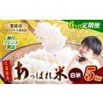 ふるさと納税 米 ブレンド 熊本県 荒尾市  6ヶ月定期便 熊本県産 くまもとあっぱれ米 ブレンド米 5kg 熊本県産 ふるさと納税 白米 精米 米 こめ ふるさとのう…